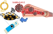 Ultra-sensitive viral glycoprotein detection NanoSystem toward accurate  tracing SARS-CoV-2 in biological/non-biological media